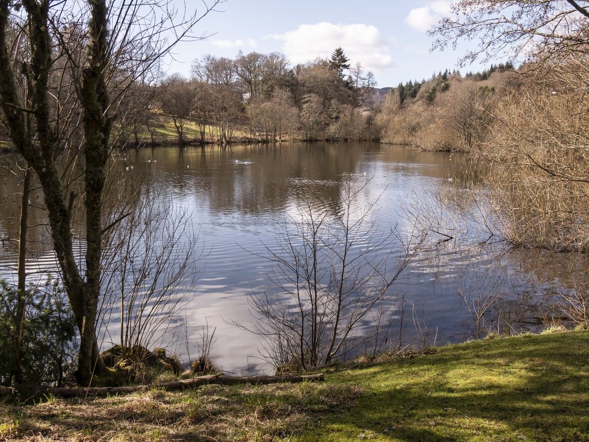 The Cuilc, an attractive lochan in Pitlochry